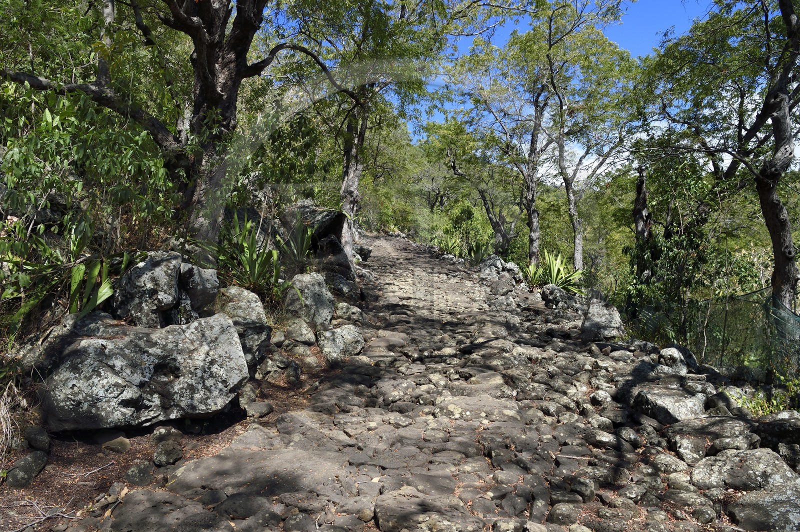 France, Ile de la Reunion, La Possession, ravine de la Grande Chaloupe, le chemin Crémont aussi appelé chemin des Anglais, ancienne route pavé de basalte depuis 1775 qui longe le bord de la falaise de la cote nord-ouest devenu sentier de randonnée