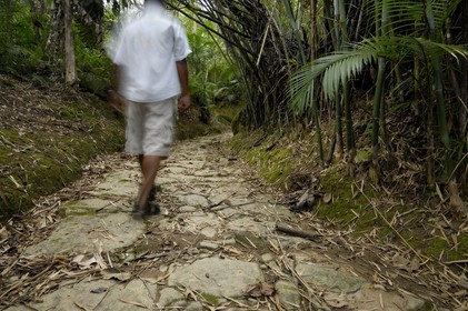 Brazil, Rio de Janeiro State, Paraty, former Gold Trail (Estrada Real)