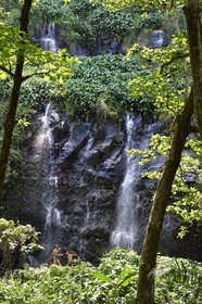 France, Ile de la Reunion, Parc national de La Réunion, classé Patrimoine Mondial de l'UNESCO, Sainte-Rose, anse des Cascades, enfants créoles se baignant sous une cascade