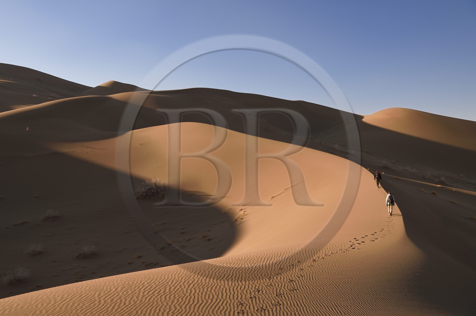 Iran, Province de Yazd, désert du Dasht-e Kavir, Moghestan, randonnée dans le massif dunaire dont la plus haute dune atteint les 200 mètres Iran, Province de Yazd, désert du Dasht-e Kavir, Moghestan, randonnée dans le massif dunaire dont la plus haute dune atteint les 200 mètres