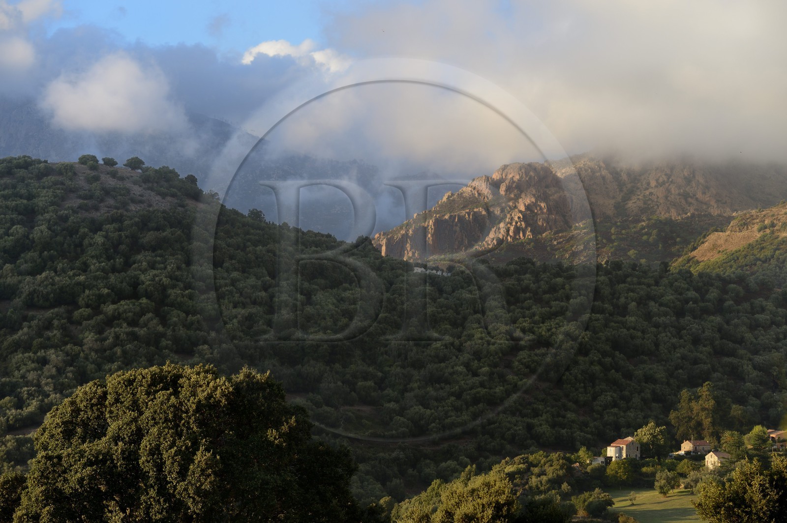 France, Corse-du-Sud (2A), région de Sartène, village de Fozzano France, Corse-du-Sud (2A), région de Sartène, village de Fozzano
