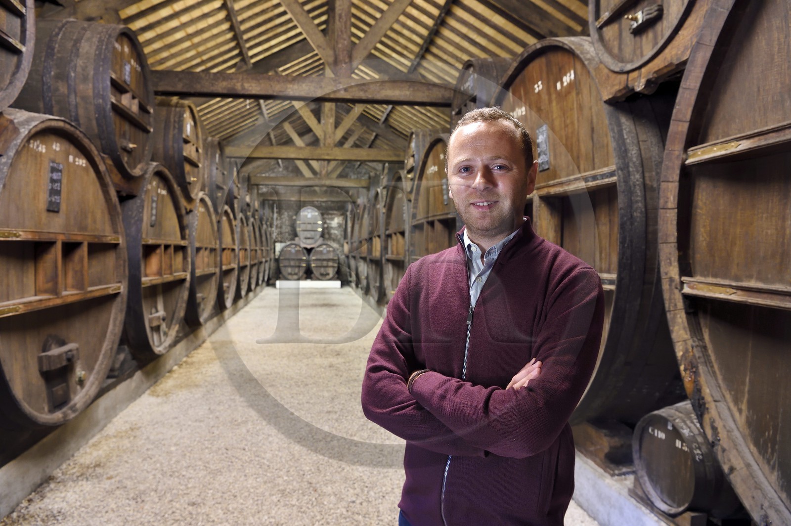 France, Calvados (14), Pays d'Auge, Saint-Cyr du Ronceray, Jean-Roger Groult producteur du Calvados Roger Groult AOC Pays d’Auge depuis cinq générations, tonneaux dans les chais de vieillissement