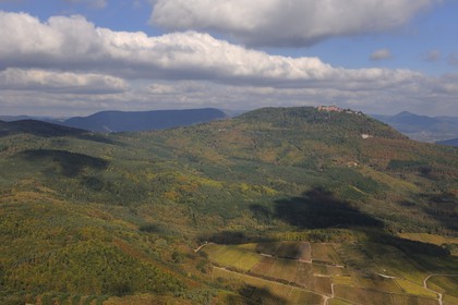 France, Bas Rhin, Orschwiller, Alsace Wine Road, Haut Koenigsbourg Castle in the Vosges forest and vineyards of the Haut-Rhin at the foot of the Parc Régional des Ballons (aerial view)