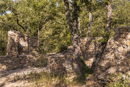France, Var, Provence Verte (Green Provence), Bras, Academie du Bain de Foret Provencale (Academy of Forest Bathing in Provence), forest of the domaine Le Peyrourier - une campagne en Provence