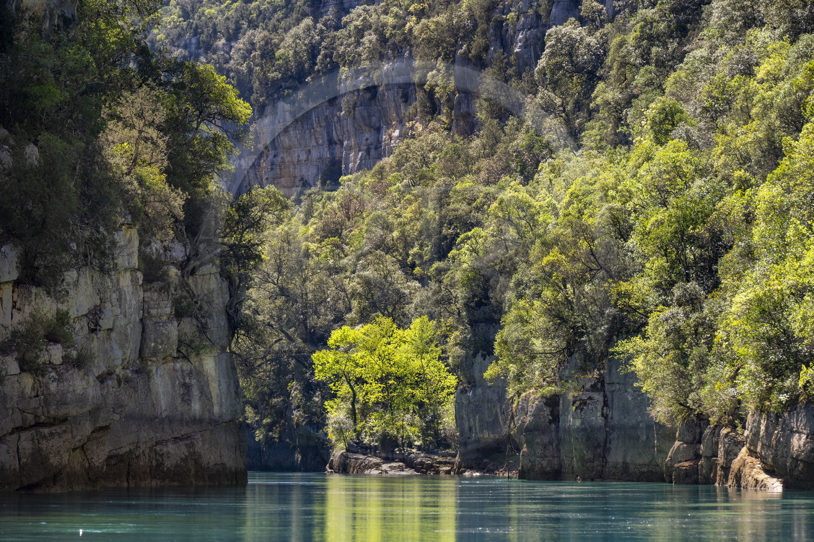 Var on the Left Bank and Alpes de Haute Provence on the Right Bank, Parc Naturel Regional du Verdon, Basses Gorges du Verdon downstream of Lake St. Croix, gorges de Baudinard