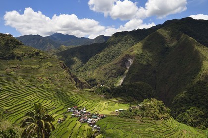 Philippines, province d'Ifugao, les rizières en terrasses de Banaue autour du village de Batad, classées Patrimoine Mondial de l'UNESCO, alimentées par un ancien système d'irrigation depuis la forêt tropicale au-dessus des terrasses