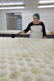 France, Orne, Pays d'Auge, village of Camembert, the Héronnière Farm, AOC unpasteurized milk Camembert, the farm-made Camembert is ladle-molded