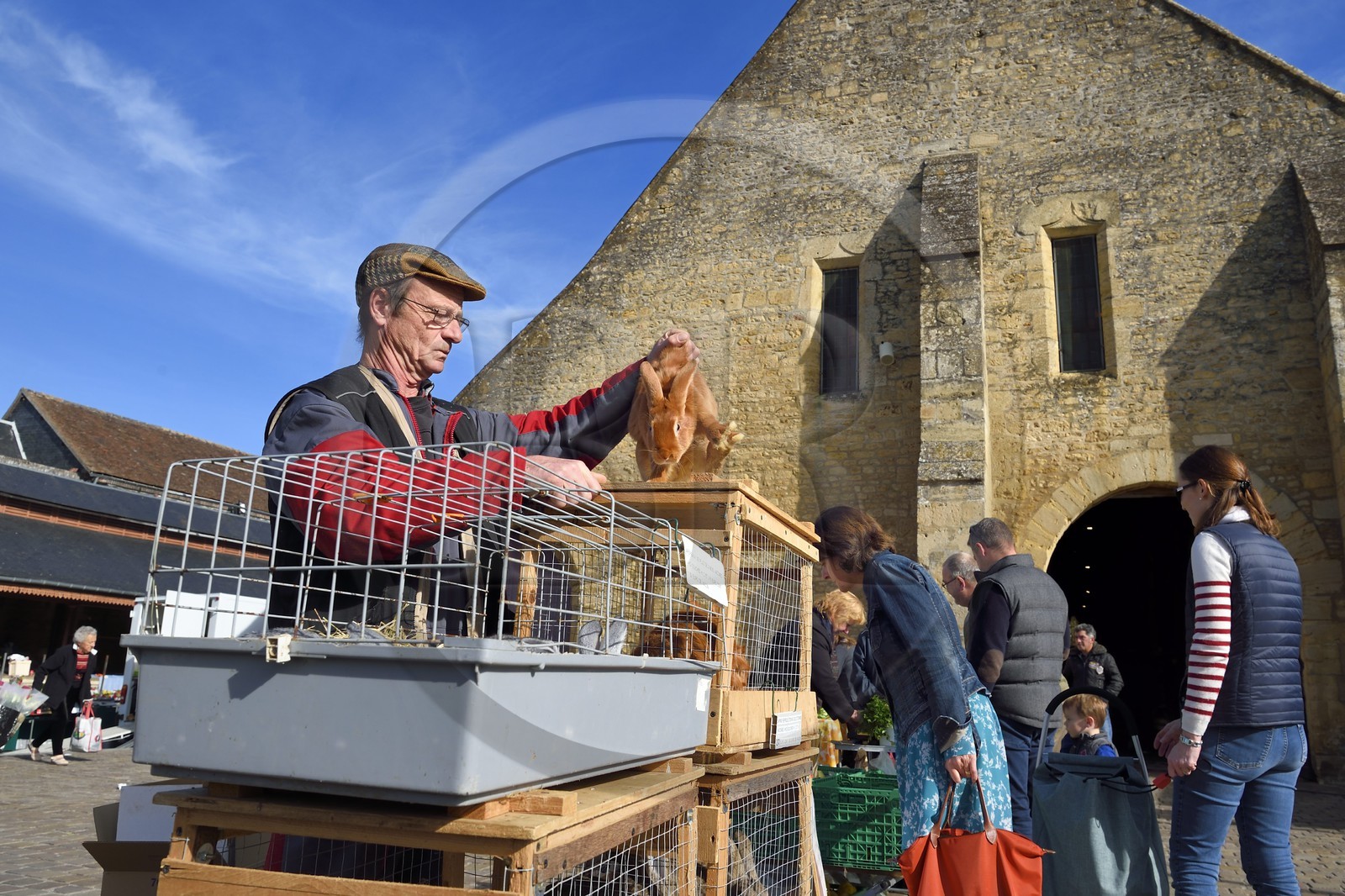 France, Calvados, Pays d'Auge, Saint Pierre sur Dives, market day in front of the 11th century covered market rebuilt in the 15th century, the breeder Pierre-Alain sells his rabbits alive France, Calvados, Pays d'Auge, Saint Pierre sur Dives, market day in front of the 11th century covered market rebuilt in the 15th century, the breeder Pierre-Alain sells his rabbits alive