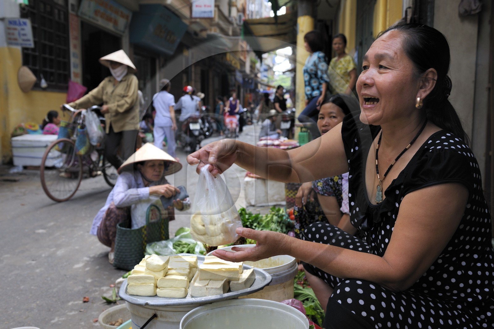 Vietnam, Hanoï, quartier Le Duan dans la vieille ville, rue commerçante, vente de Tofu