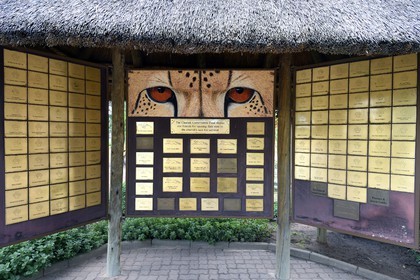 Namibie, Otjiwarongo, Cheetah Conservation Fund, centre de recherche et d'éducation, plaques des donateurs au CCF