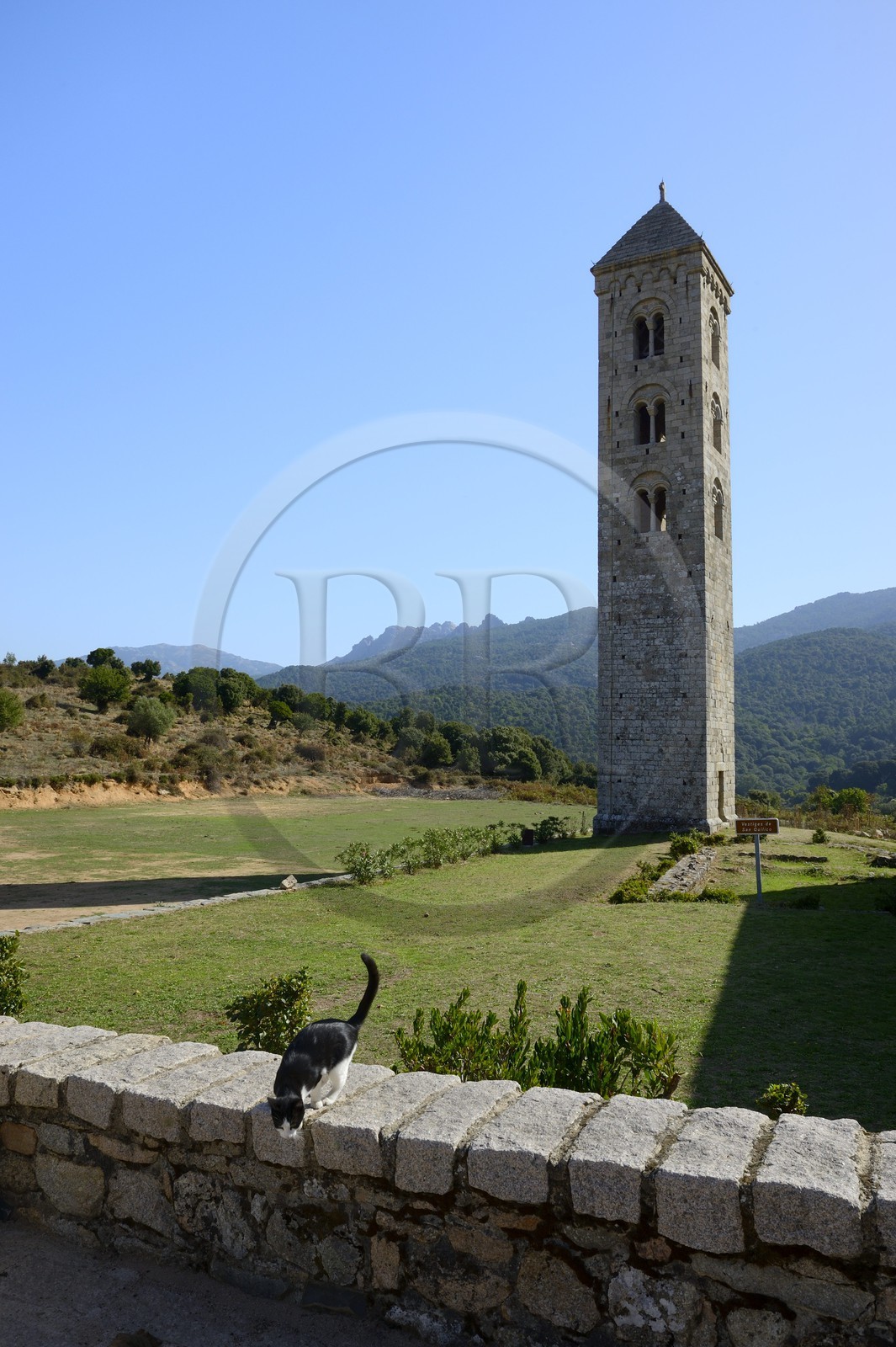 France, Corse-du-Sud (2A), Alta Rocca, Carbini, le campanile de l'église Saint-Jean-Baptiste, le village était au coeur du mouvement hérétique des Giovannali France, Corse-du-Sud (2A), Alta Rocca, Carbini, le campanile de l'église Saint-Jean-Baptiste, le village était au coeur du mouvement hérétique des Giovannali