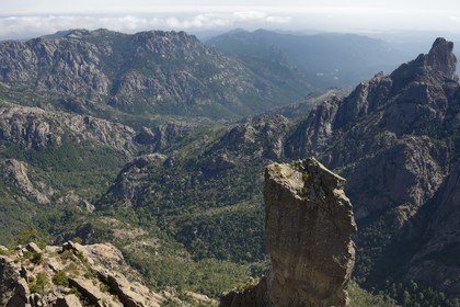 France, Corse-du-Sud (2A), Alta Rocca, massif de Bavella, campanile de Sainte-Lucie, piton vertigineux surplombant le ravin d’Aragale
