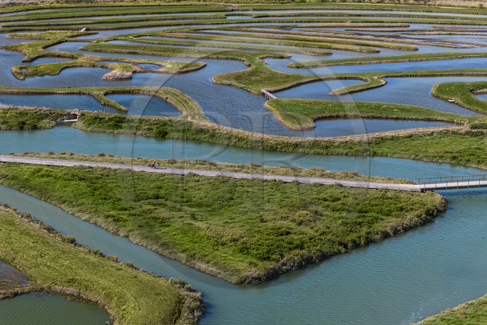 France, Vendée (85), Talmont-Saint-Hilaire, marais de la Guittière dans l'arrière pays de la Pointe du Payré, passage du Cul d’Ane, marais aménagés pour la pisciculture de dorades, mulets et anguilles (vue aérienne)