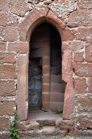 France, Bas Rhin, Northern Vosges Regional Natural Park, Niedersteinbach, Steinbach national forest, Wasigenstein Castle ruins
