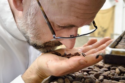 France, Bas-Rhin (67), Munlhdolseim, le patissier chocolatier Thierry Mulhaupt dans son atelier, il produit ou sélectionne personnellement ses fèves de cacao pour ses réalisations chocolatées