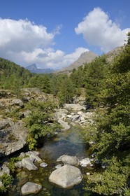 France, Haute-Corse (2B), région du Niolu (Niolo), la rivière Calasima et la montagne du Paglia Orba en forme d’aileron de requin en arrière plan