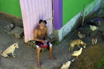 Caraïbes, Ile de la Dominique, Salybia, Territoire Kalinago unique réserve amérindienne de l'archipel des Antilles, un amérindien metissé rapant de la noix de coco devant sa maison
