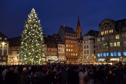 France, Bas Rhin, Strasbourg, old town listed as World Heritage by UNESCO, the big christmas tree on Place Kleber and the Notre Dame Cathedral in the background