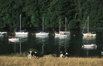 France, Finistère (29), région de L´Aber Wrac'h près du port de Paluden