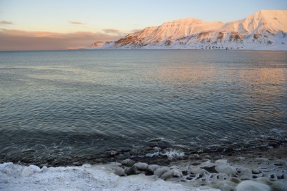 Norway, Svalbard, Spitzbergen, Longyearbyen, Adventfjorden, frozen salt water lacework