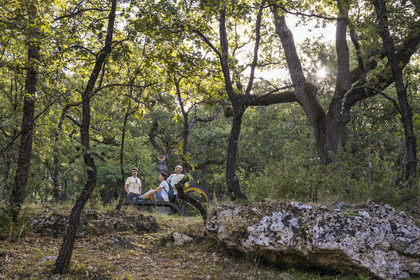 France, Var, Provence Verte (Green Provence), Bras, Academie du Bain de Foret Provencale (Academy of Forest Bathing in Provence), forest of the domaine Le Peyrourier - une campagne en Provence