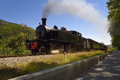 France, Alpes de Haute Provence, Entrevaux, Train des Pignes historic train