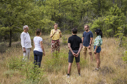 France, Var, Provence Verte (Green Provence), Bras, Academie du Bain de Foret Provencale (Academy of Forest Bathing in Provence), forest of the domaine Le Peyrourier - une campagne en Provence, Constanze Coisne guides Shinrin Yoku