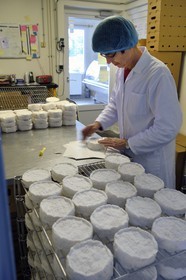 France, Orne (61), Pays d'Auge, village de Camembert, Ferme de la Héronnière, AOC Camembert au lait cru, emballage du camembert fermier