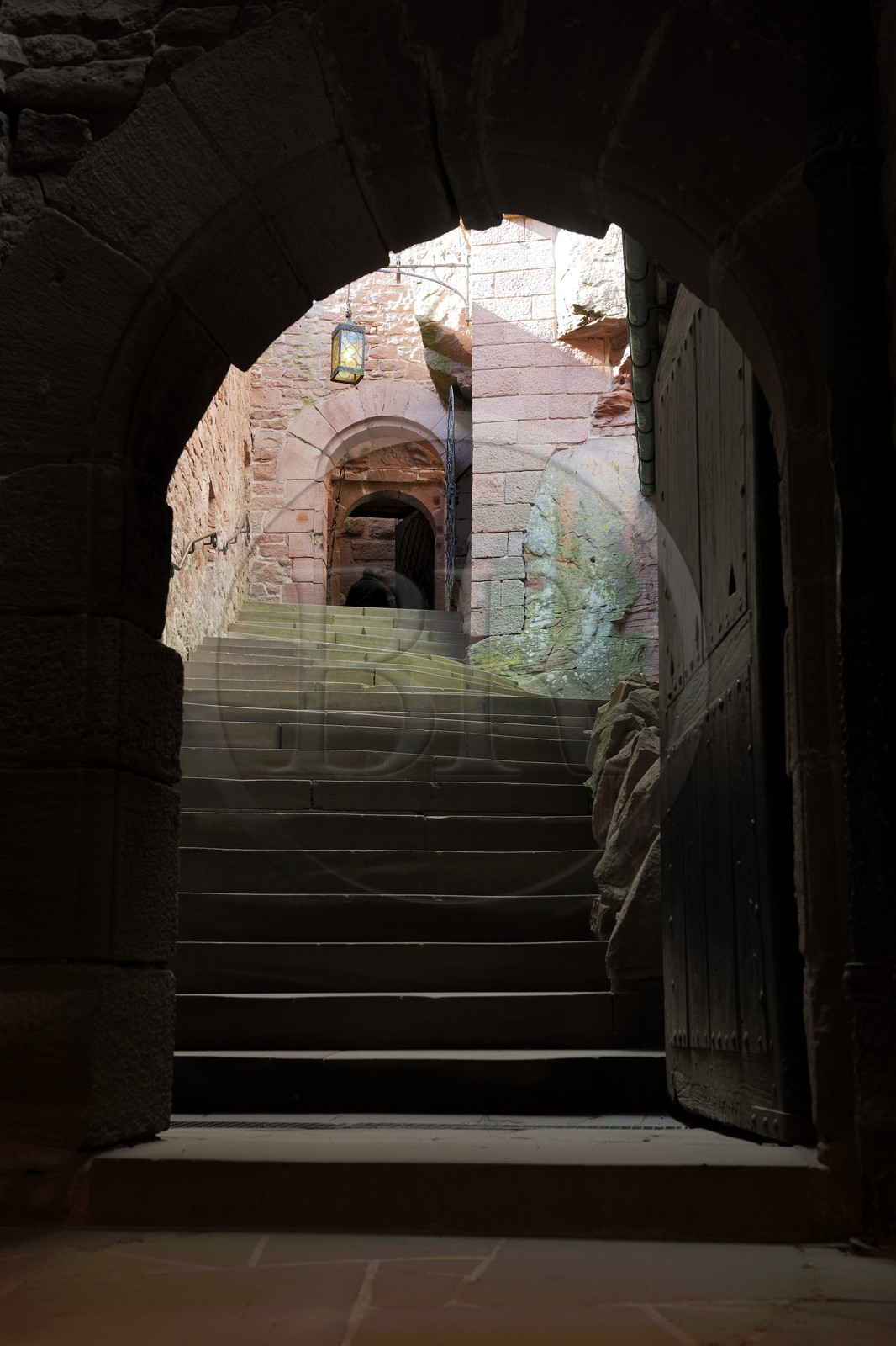 France, Bas-Rhin (67), le château du Haut-Koenigsbourg, linteau roman avec deux lions couchés encadrant des armoiries de la fin du Moyen Age en haut de l'escalier conduisant au logis