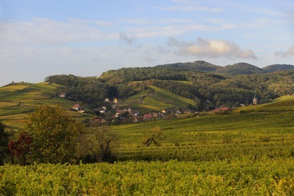 France, Bas Rhin, Rodern village surrounded by vineyards