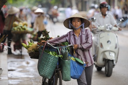 Vietnam, Hanoï, vieille ville, marchande de quatre saisons à vélo