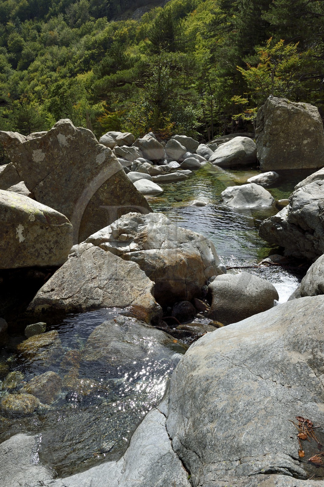 France, Haute-Corse (2B), Vivario, GR 20, étape entre le refuge de l'Onda et Vizzavona, foret de Vizzavona, les cascades des anglais, groupe de cascades dans la vallée de l'Agnone au pied du Monte d'Oro