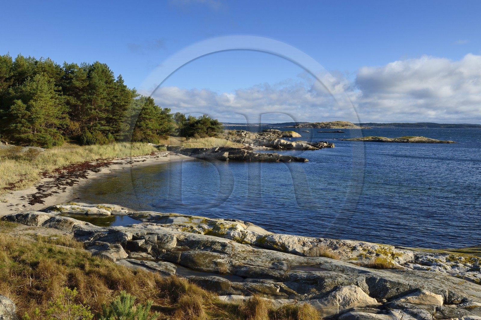 Sweden, Västra Götaland, Koster Islands, Sydkoster sandy beach