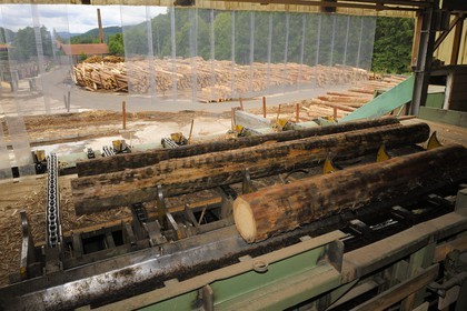 France, Moselle, Abreschviller Sciages sawmill