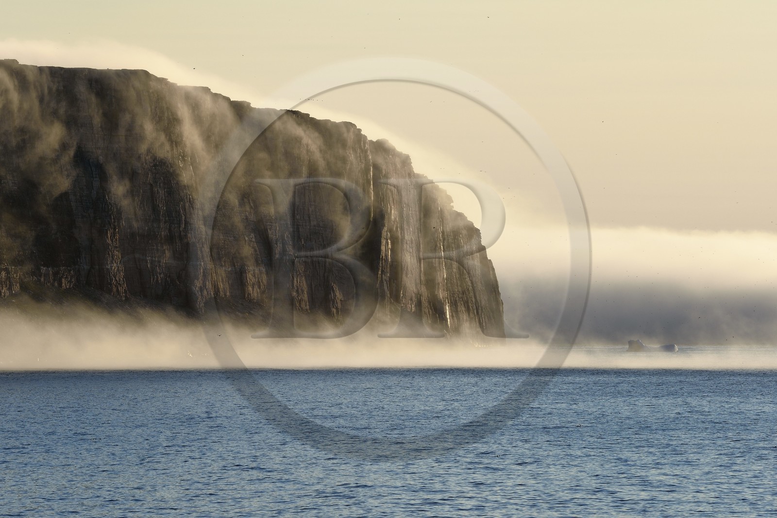 Greenland, North West coast, Murchison sund north of Baffin Bay, Hakluyt Island cliffs off the western shore of Kiatak (Northumberland Island)