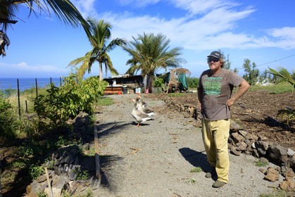 France, Ile de la Reunion, élevage bio d'oies sur les hauteurs de Saint-Leu