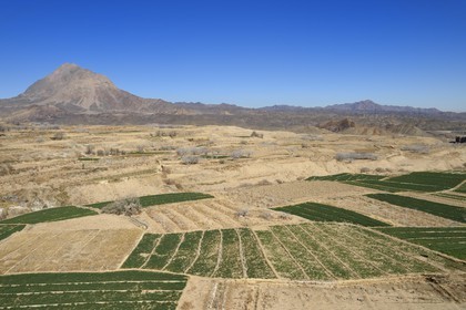 Iran, Province de Yazd, en bordure du désert du Dasht-e Kavir, village de Kharanaq, champs dans la vallée Andjir au pied du village