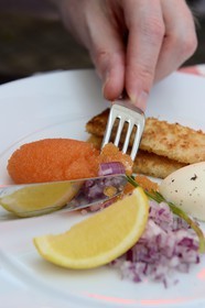 Suède, Comté de Vasterbotten, Umea, restaurant Rex, oeufs d'ablette et toast
