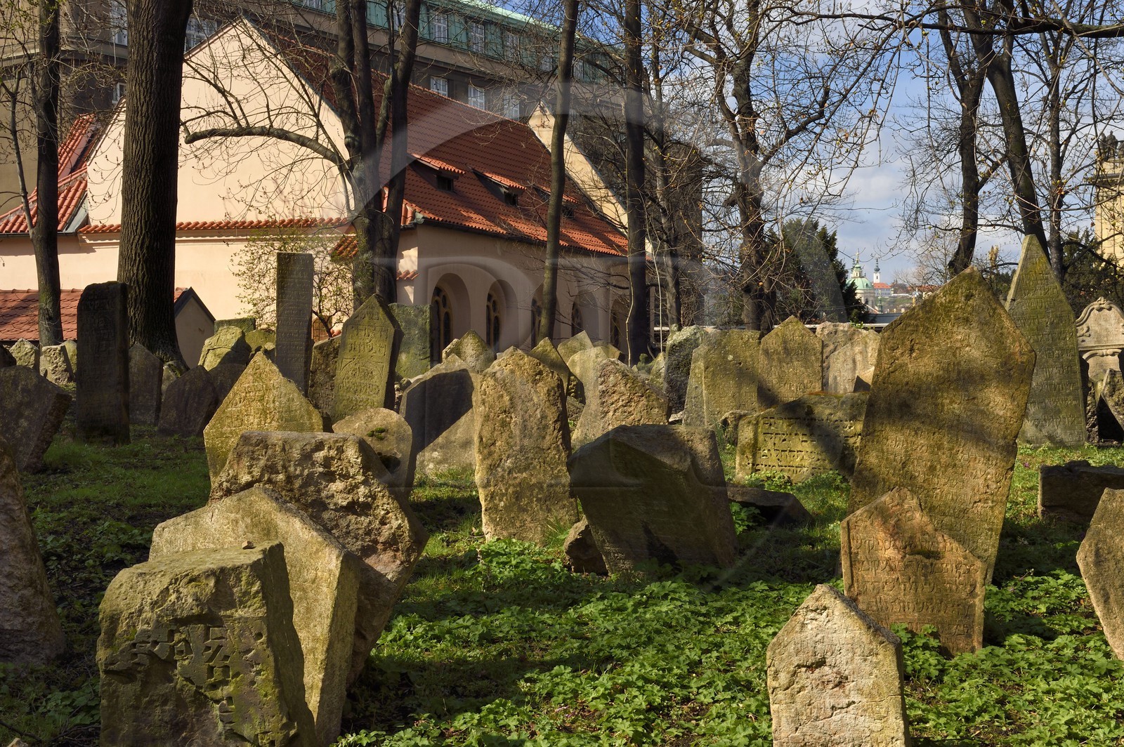 République Tchèque, Prague, centre historique classé Patrimoine Mondial de l'UNESCO, quartier juif de Josefov, cimetière juif et la synagogue Pinkas en arrière plan