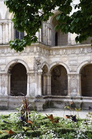 France, Charente-Maritime (17), La Rochelle,  l'Hotel d'Hugues Pontard (Maison Henri II) construit au XVIe siècle