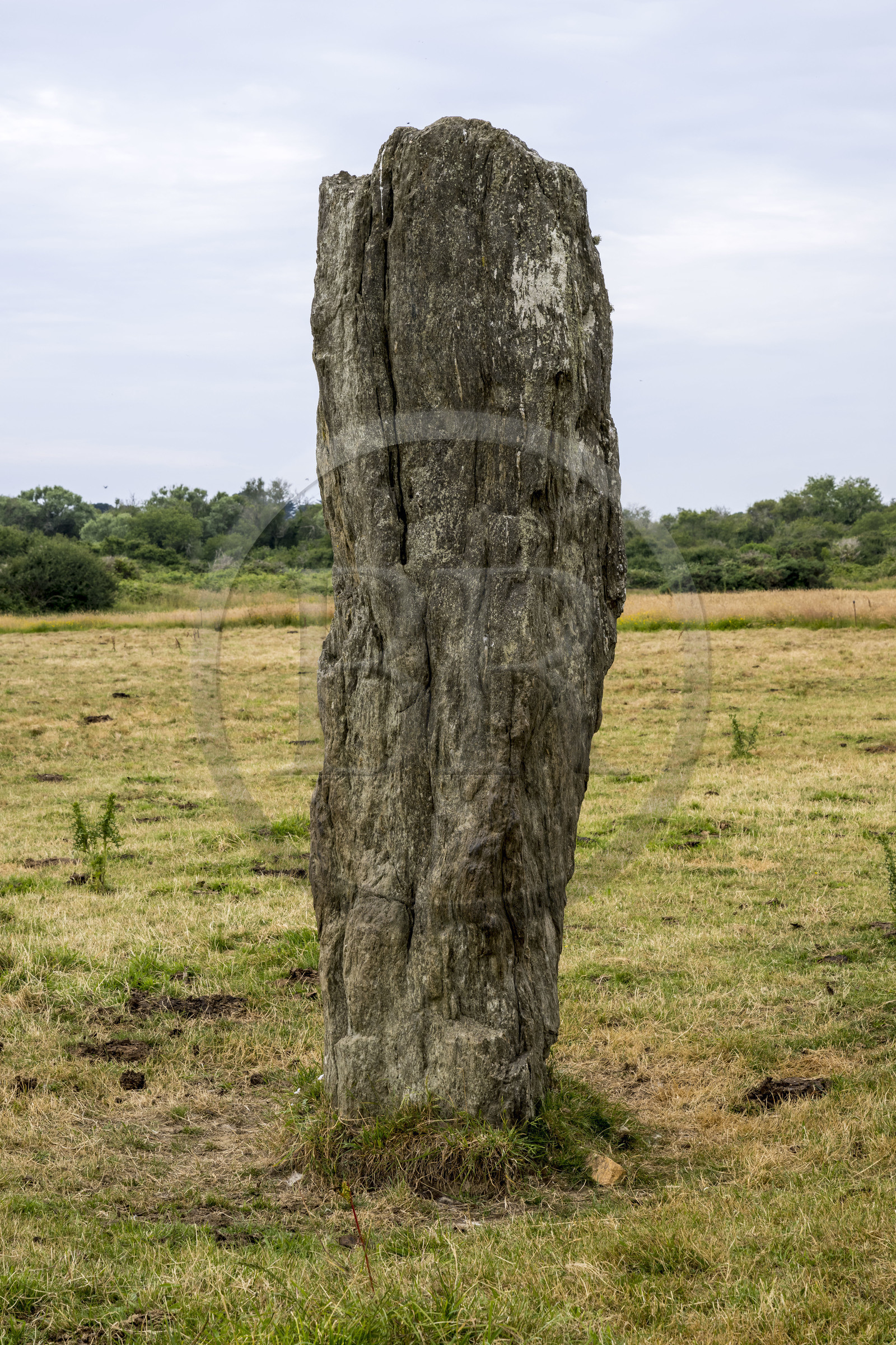 France, Morbihan (56), Ile de Groix, Kerlobras, menhir de Kelhuit