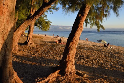 France, île de la Réunion, la Cote Ouest, plage du lagon de Saint-Gilles-Les-Bains à l'Ermitage-les-Bains, à l'ombre des filaos