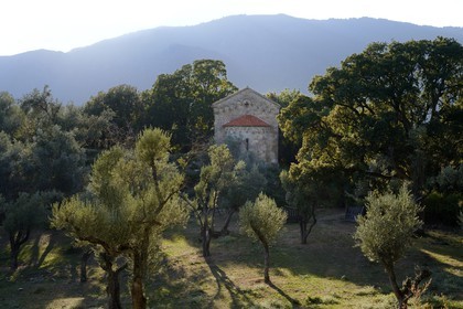 France, Corse-du-Sud (2A), Alta Rocca, Sainte-Lucie-de-Tallano (Santa Lucia di Tallà), chapelle romane Saint-Jean-Baptiste dans le hameau de Poggio