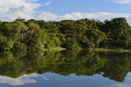 Panama, the Isthmus of Panama between Panama City and Colon along the train line of the Panama Canal Railway