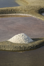 France, Vendee, L'Ile d'Olonne next to Les Sables d'Olonne, salorge de la Vertonne in the Salt Marshes, artisanal salt harvest