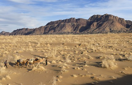 Iran, Isfahan province, Dasht-e Kavir desert, Mesr in Khur and Biabanak County, camel train in a camel trek at the foot of the mountain range of Dareh bidan