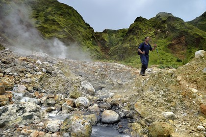 Caribbean, Dominica Island, Castle Bruce, Morne Trois Pitons National Park listed as World heritage by UNESCO, Valley of Desolation, hike on the trail to Boiling Lake