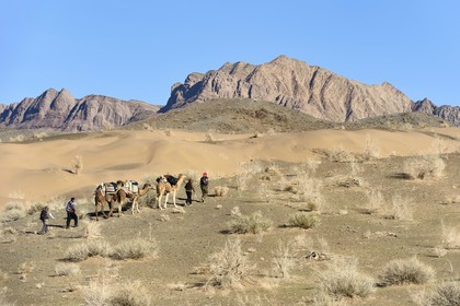 Iran, Isfahan province, Dasht-e Kavir desert, Mesr in Khur and Biabanak County, camel train in a camel trek