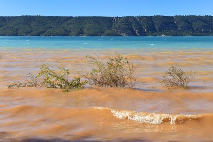 France, Var (83), Parc Naturel Régional du Verdon, lac de Sainte Croix
