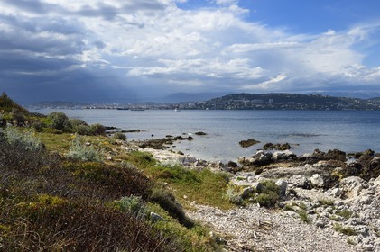 France, Alpes-Maritimes, Lerins Islands, Sainte-Marguerite island port pontoon, coastal and Cannes view